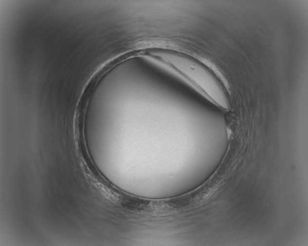 X0000075360983200610061742