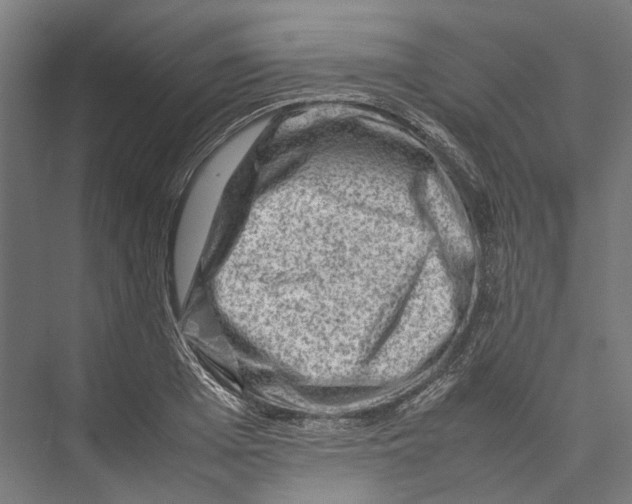 X0000075360985200610061742