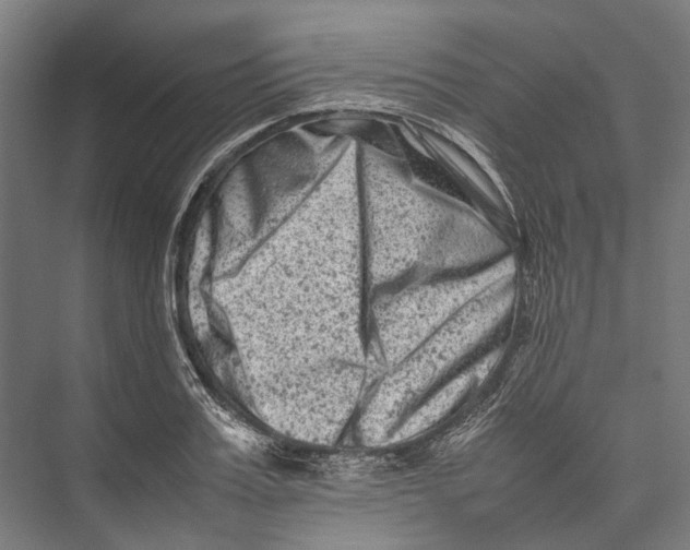 X0000075360987200610061742