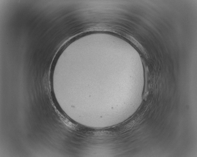 X0000075360988200610061742