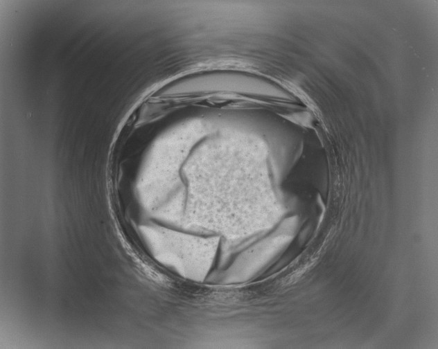 X0000075360989200610061742