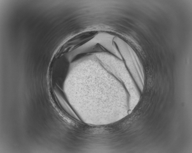 X0000075360990200610061742