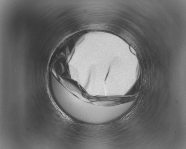 X0000075360992200610061742