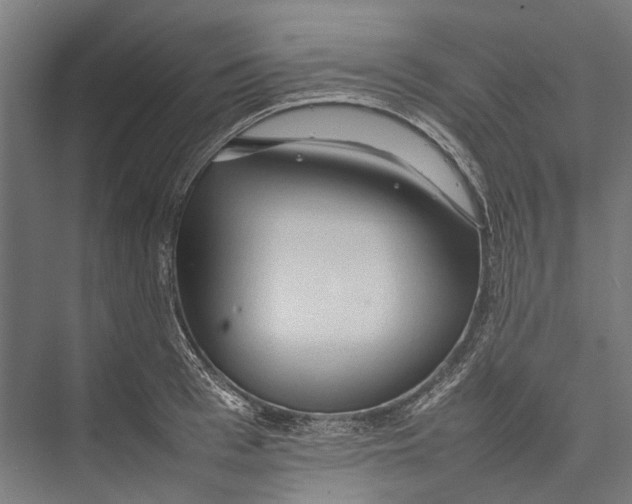 X0000075360993200610061742