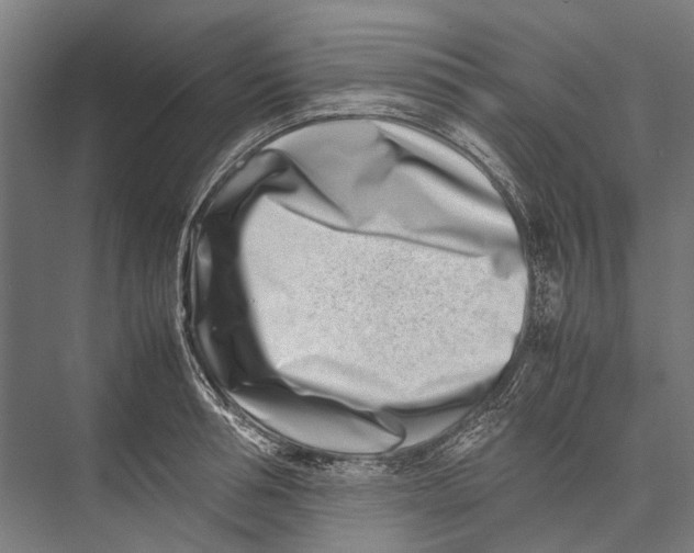 X0000075360994200610061742