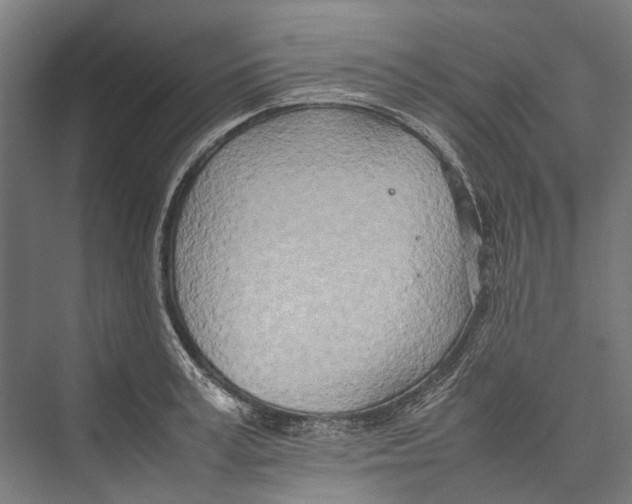 X0000075360995200610061742