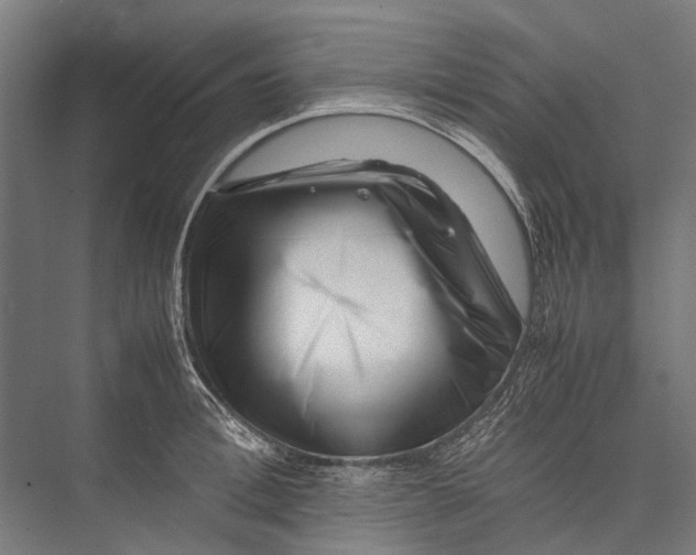 X0000075360996200610061742