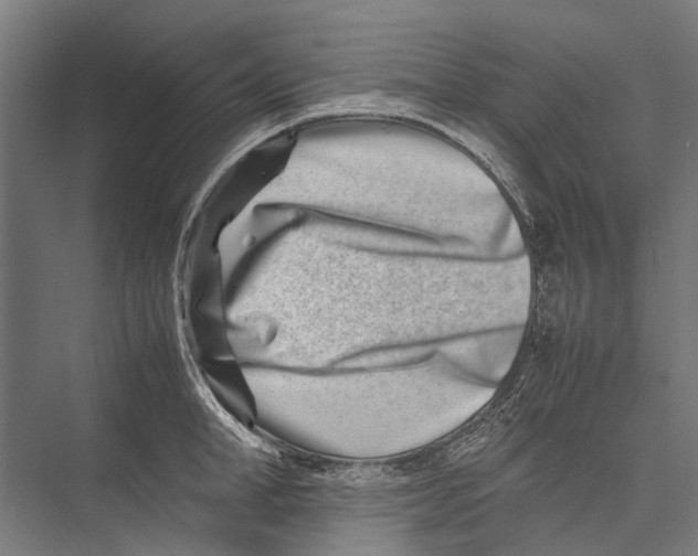 X0000075360998200610061742