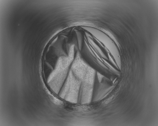 X0000075360999200610061742