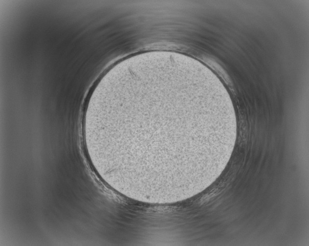 X0000075361000200610061742