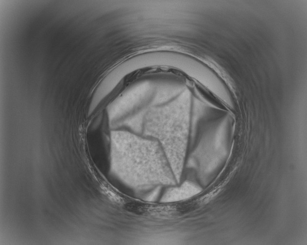 X0000075361001200610061742