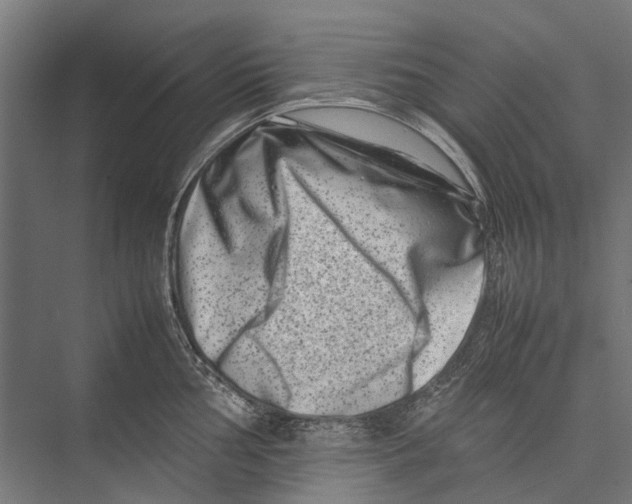 X0000075361002200610061742