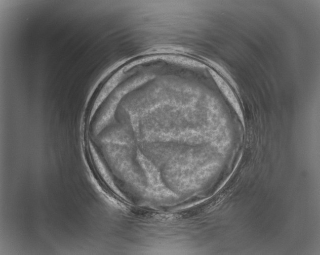 X0000075361003200610061742