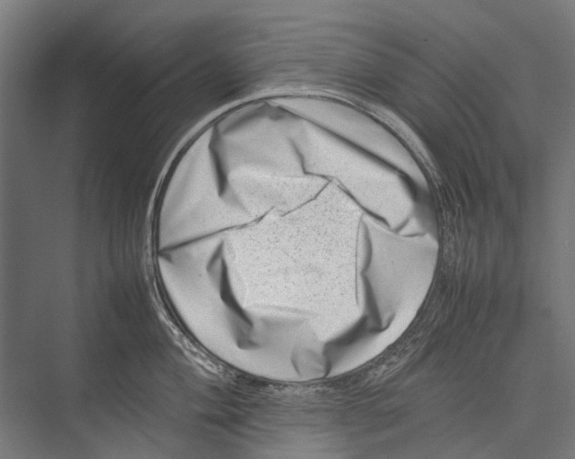 X0000075361004200610061742