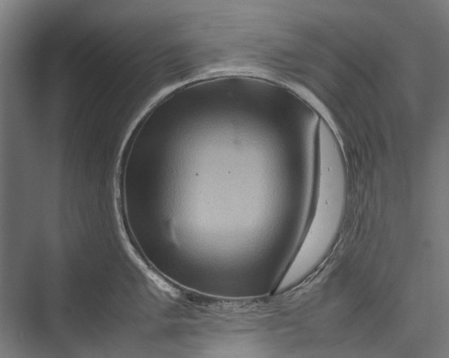 X0000075361005200610061742