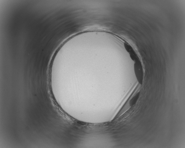 X0000075361008200610061742