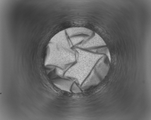 X0000075361009200610061741