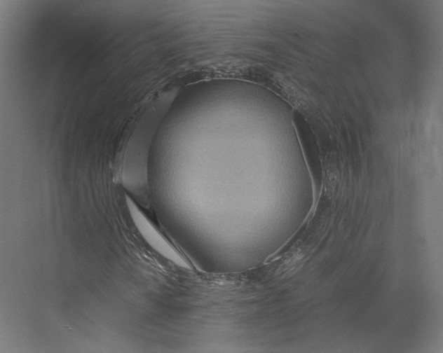 X0000075361010200610061741