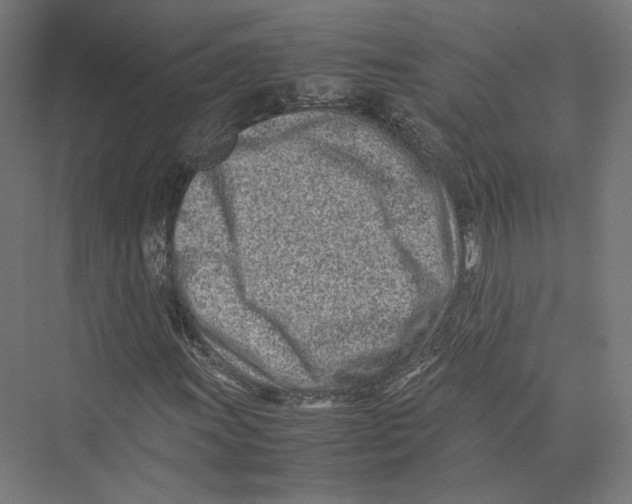 X0000075361011200610061741