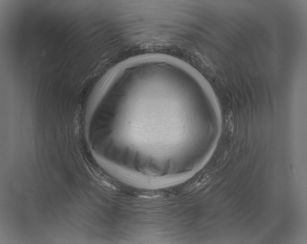 X0000075361012200610061741