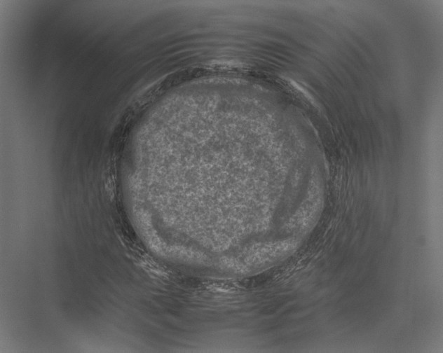 X0000075361015200610061741