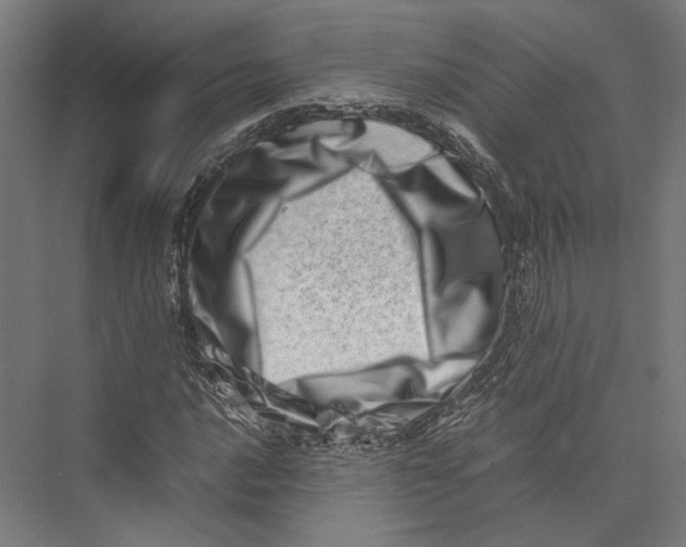 X0000075361016200610061741