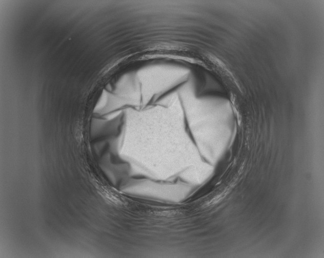 X0000075361017200610061741