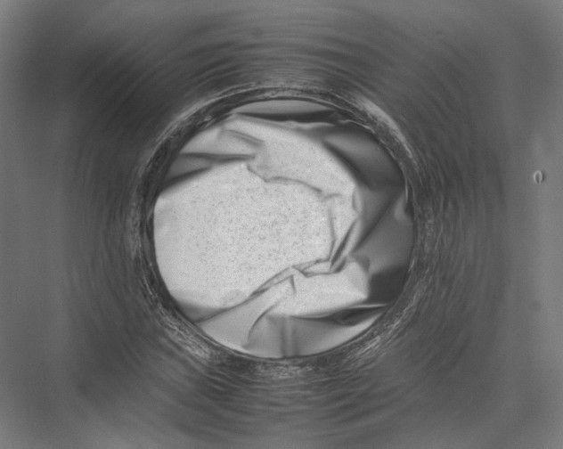 X0000075361019200610061741