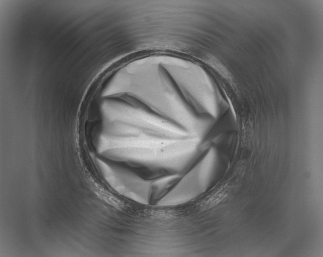 X0000075361020200610061741