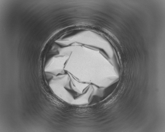 X0000075361021200610061741