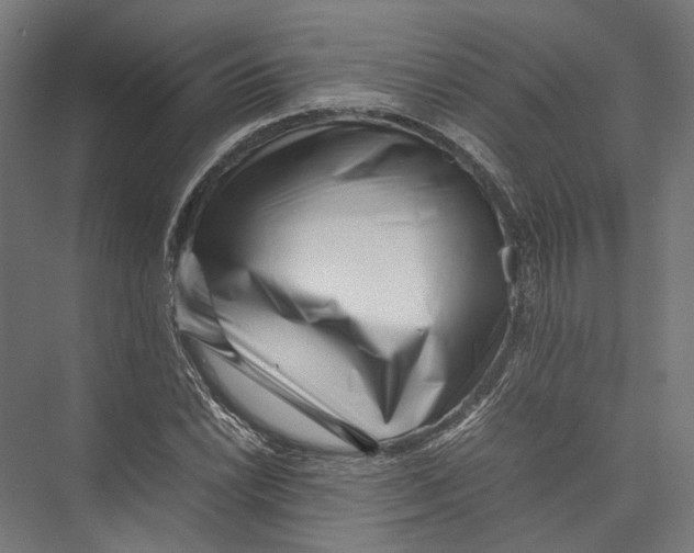 X0000075361022200610061741