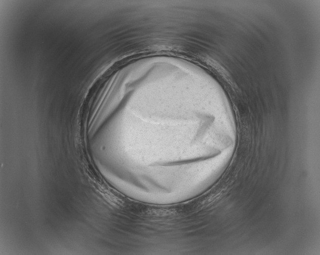 X0000075361023200610061741