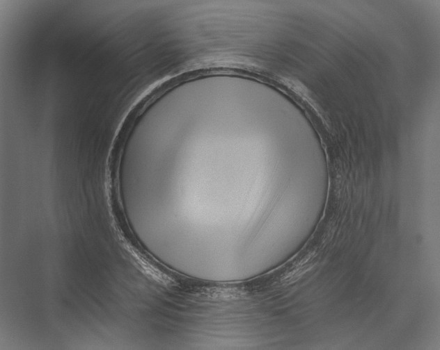 X0000075361024200610061741