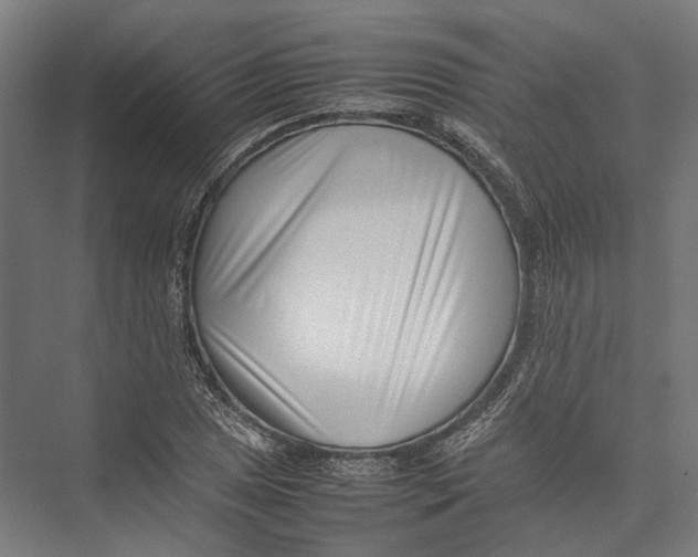 X0000075361025200610061741