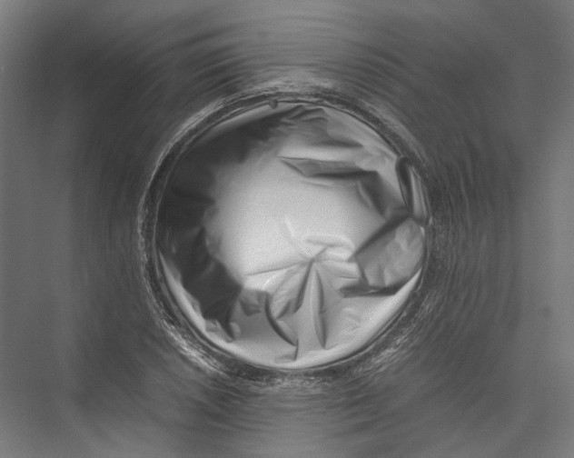 X0000075361026200610061741