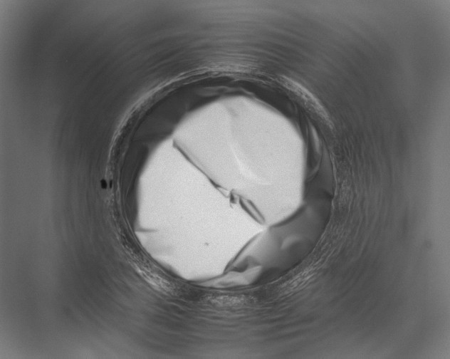 X0000075361027200610061741