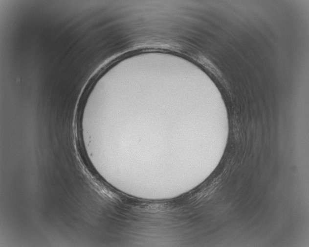 X0000075361028200610061741