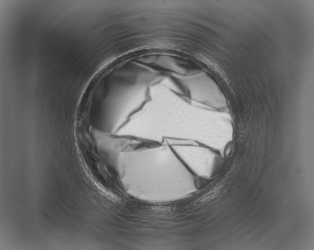 X0000075361029200610061741