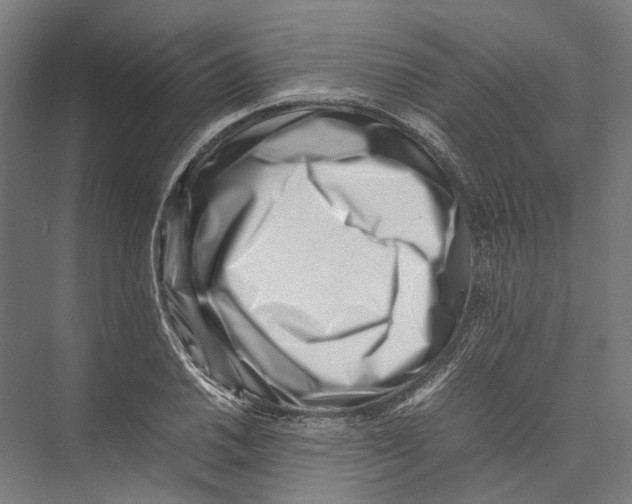 X0000075361030200610061741