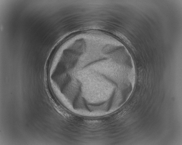 X0000075361031200610061741