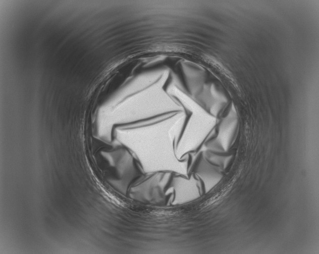 X0000075361033200610061741