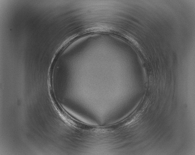 X0000075361034200610061741