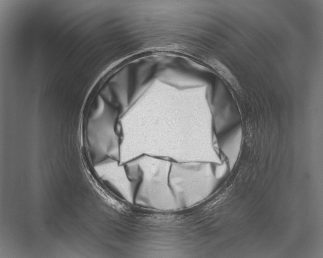 X0000075361036200610061741