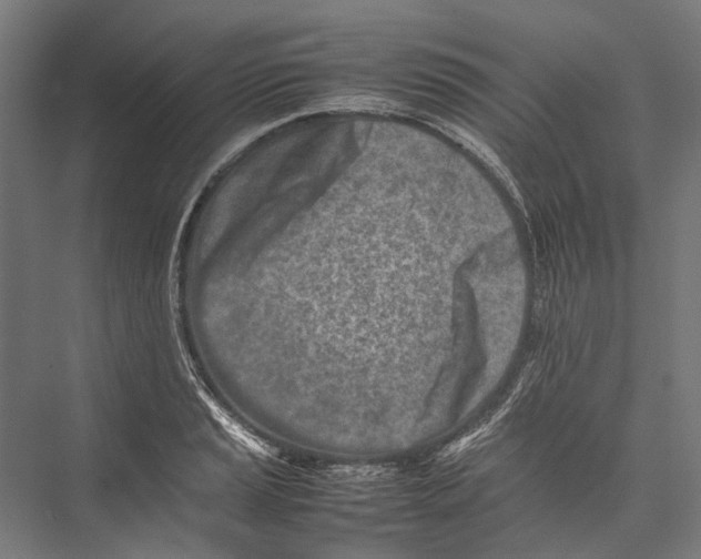 X0000075361037200610061741