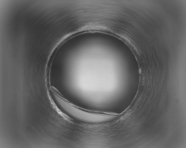 X0000075361038200610061741