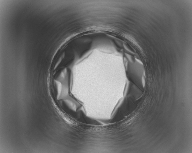 X0000075361040200610061741