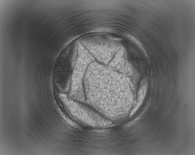 X0000075361041200610061741