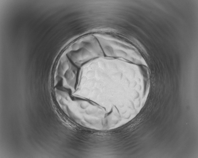 X0000075361044200610061741