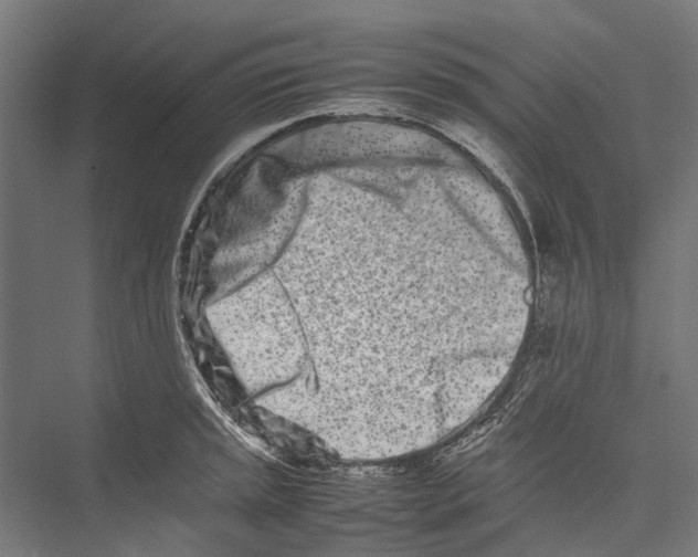 X0000075361045200610061742