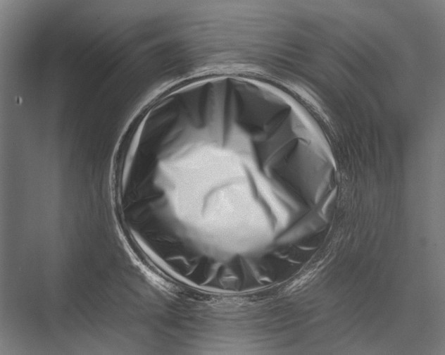 X0000075361046200610061742